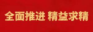 履践致远向未来 | 洛阳乐动网站精英特训营“磐石计划”精益生产项目召开复盘追踪会