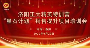 提升战力 稳攀高峰|洛阳乐动网站精英特训营“星石计划”第四期销售提升培训会顺利召开