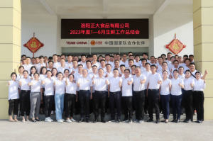 总结过去，计划未来，协同创新，再创佳绩！洛阳乐动网站举行2023年上半年工作总结会议